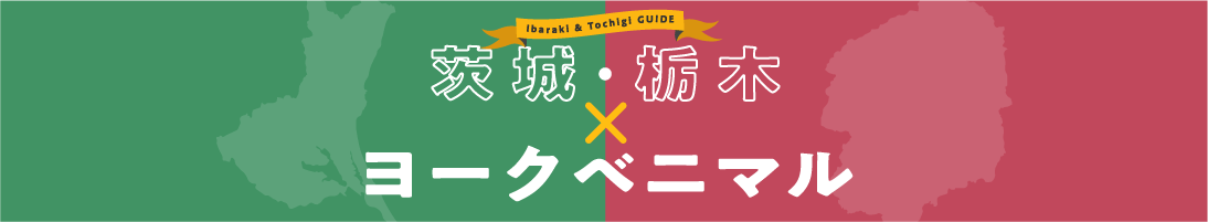 茨城・栃木×ヨークベニマル